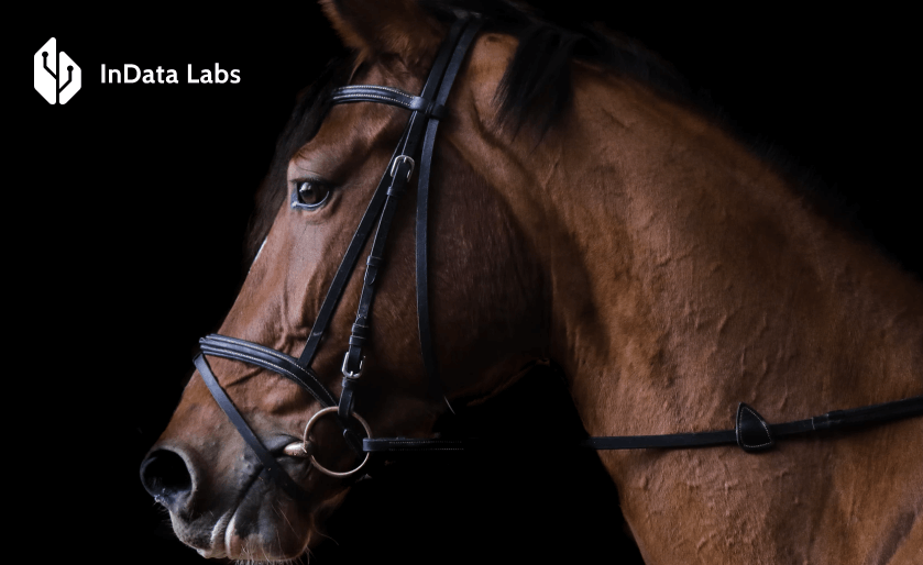AI Horse Breeding — InData Labs