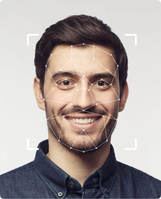 Facial detection and automatic landmark identification